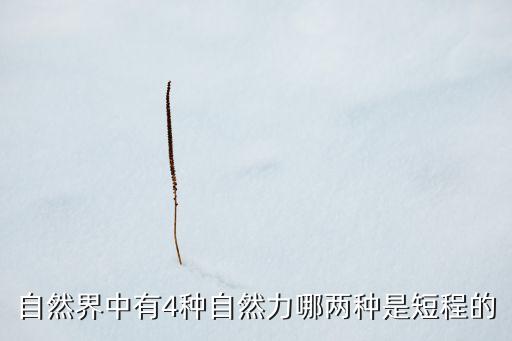 自然力，有哪四種基本自然力