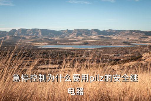 pilz，急?？刂茷槭裁匆胮ilz的安全繼電器