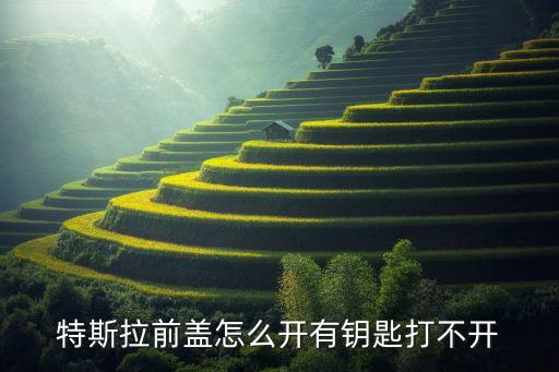 特斯拉前蓋怎么開有鑰匙打不開