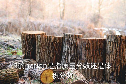 nafion，nafion怎么發(fā)音