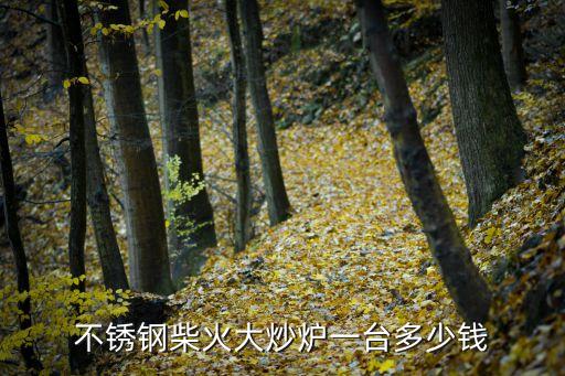炒爐，不銹鋼柴火大炒爐一臺多少錢