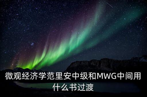 mwg，MWG什么意思小寫