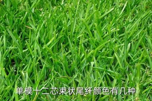 束狀尾纖，請(qǐng)問(wèn)一下12芯束狀尾纖與12芯帶狀尾纖和12芯散狀尾纖都有什么區(qū)