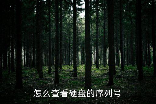 怎么查硬盤序列號，怎么查看硬盤的序列號