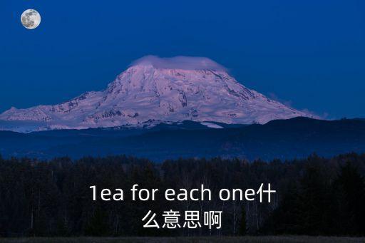 1ea for each one什么意思啊