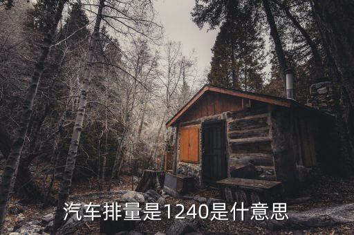 汽車排量是1240是什意思