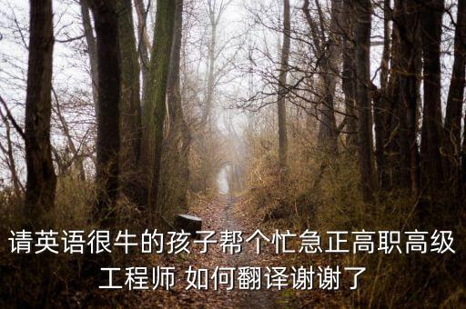 請英語很牛的孩子幫個忙急正高職高級工程師 如何翻譯謝謝了