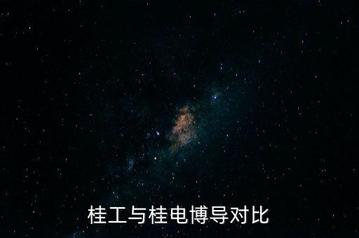桂工與桂電博導(dǎo)對(duì)比
