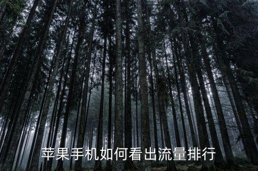 iphone 蜂窩數(shù)據(jù)用量,iPhone蜂窩數(shù)據(jù)用量怎么沒更新