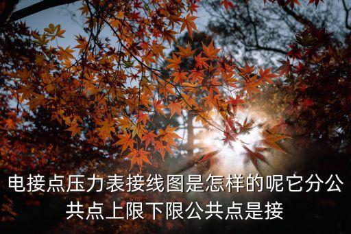 電接點，電接點壓力表接線圖是怎樣的呢它分公共點上限下限公共點是接