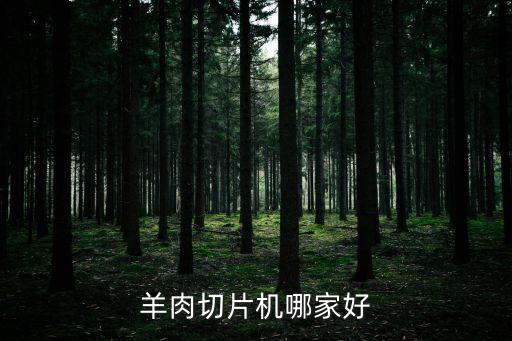 刀片自動化加工設(shè)備價格,開自動化公司需要多少錢?