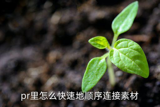 pr里怎么快速地順序連接素材