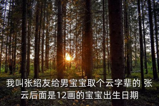 我叫張紹友給男寶寶取個云字輩的 張云后面是12畫的寶寶出生日期