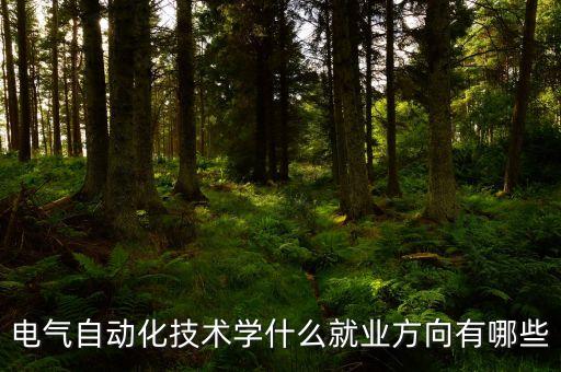 電氣自動(dòng)化就業(yè)標(biāo)準(zhǔn),電氣自動(dòng)化技術(shù)專業(yè)就業(yè)方向有哪些?