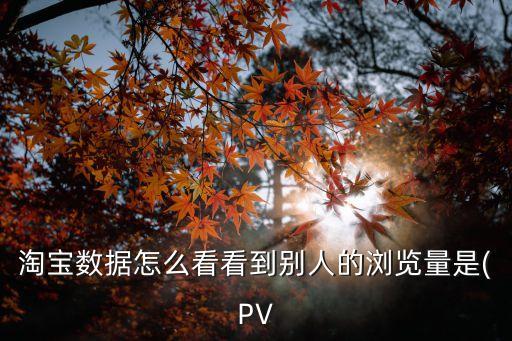 淘寶數(shù)據(jù)怎么看看到別人的瀏覽量是(PV