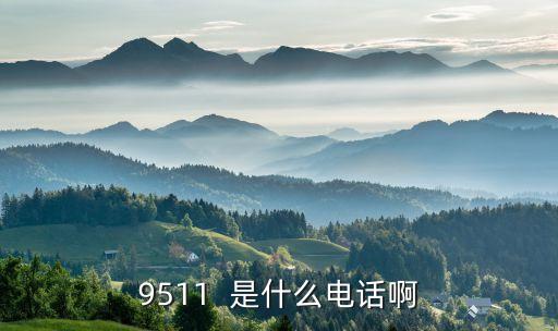 9511，9511  是什么電話啊