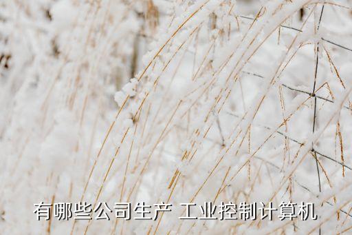 有哪些公司生產(chǎn) 工業(yè)控制計(jì)算機(jī)