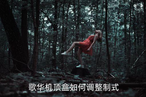  歌華機頂盒如何調(diào)整制式