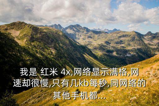 我是 紅米 4x,網(wǎng)絡(luò)顯示滿格,網(wǎng)速卻很慢,只有幾kb每秒,同網(wǎng)絡(luò)的其他手機(jī)都...