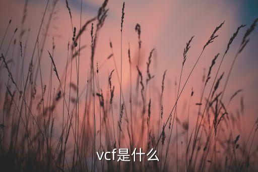 vcf是什么