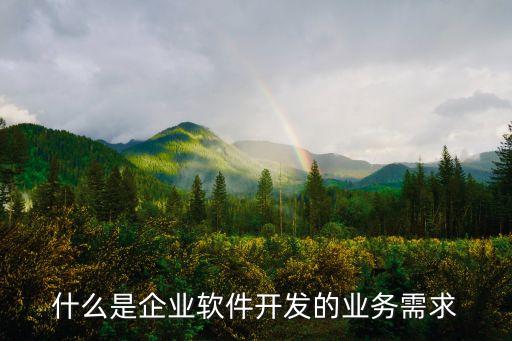 什么是企業(yè)軟件開發(fā)的業(yè)務需求