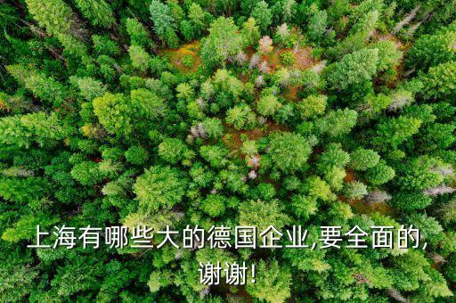 上海有哪些大的德國企業(yè),要全面的,謝謝!