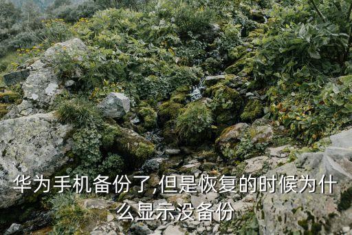 為什么華為5x不能備份數(shù)據(jù),華為手機(jī)為什么備份無(wú)法點(diǎn)開(kāi)?