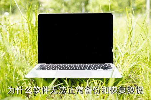 為什么軟件無法正常備份和恢復(fù)數(shù)據(jù)
