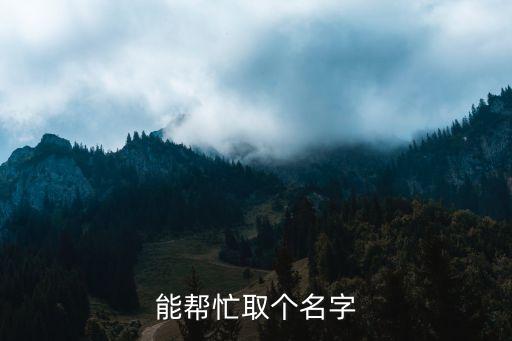 王林海，能幫忙取個名字