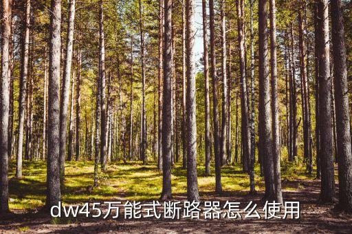 萬能式斷路器，dw45萬能式斷路器怎么使用