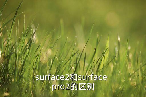 新surface，微軟New Surface Pro多少錢