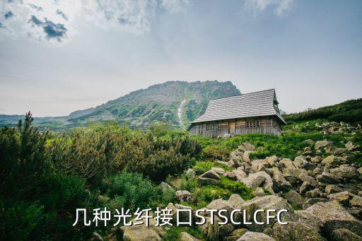 幾種光纖接口STSCLCFC