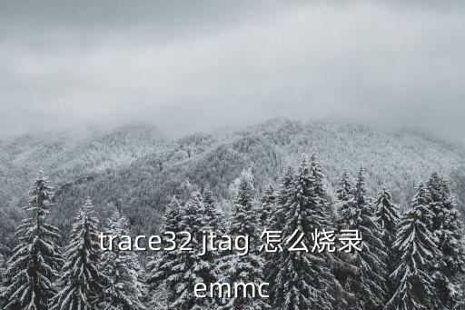 trace32 jtag 怎么燒錄emmc
