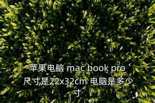 蘋(píng)果電腦 mac book pro 尺寸是22x32cm 電腦是多少寸