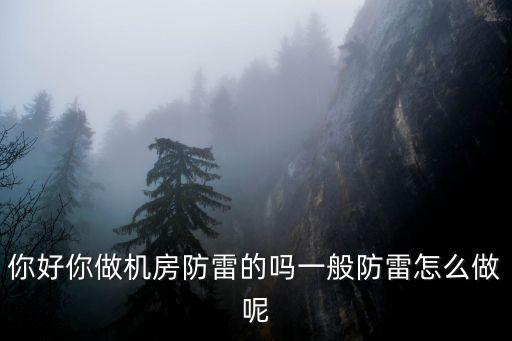 你好你做機(jī)房防雷的嗎一般防雷怎么做呢