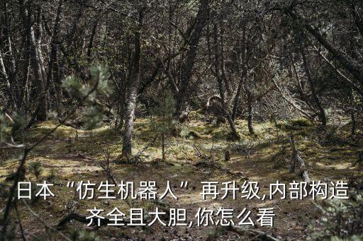 仿生機(jī)器人的意義,人形機(jī)器人的研究意義是什么?
