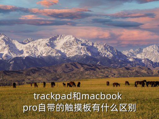 trackpad和macbook pro自帶的觸摸板有什么區(qū)別