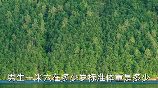 男生一米六在多少歲標(biāo)準(zhǔn)體重是多少