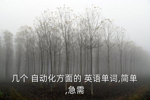 幾個(gè) 自動(dòng)化方面的 英語單詞,簡單,急需