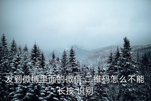 長(zhǎng)按無自動(dòng)識(shí)別二維碼,小米手機(jī)怎么自動(dòng)識(shí)別二維碼