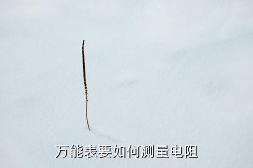 萬能表要如何測量電阻