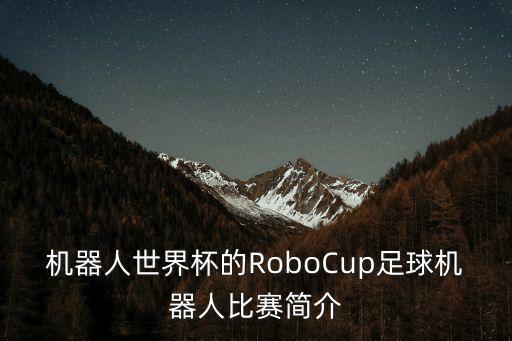 機(jī)器人世界杯的RoboCup足球機(jī)器人比賽簡(jiǎn)介