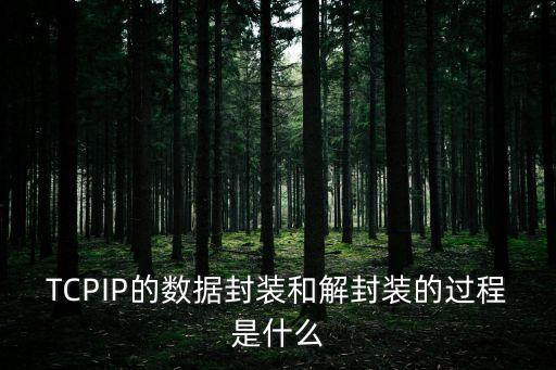 數(shù)據(jù)封裝，數(shù)據(jù)封裝在每一步都做了什么