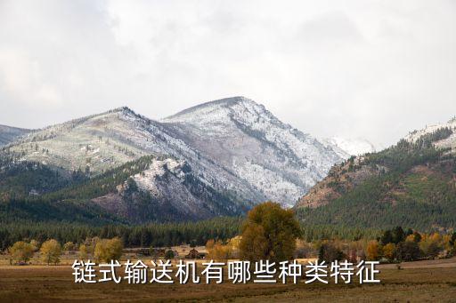 鏈?zhǔn)捷斔蜋C(jī)有哪些種類特征