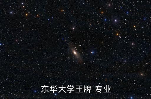  東華大學王牌 專業(yè)