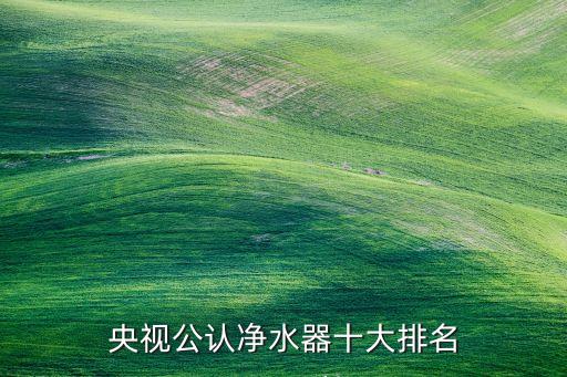 央視公認(rèn)凈水器十大排名
