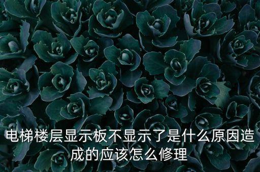 電梯顯示屏，通力電梯內(nèi)顯示屏多錢