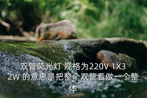 雙管熒光燈 規(guī)格為220V 1X32W 的意思是把整個雙管看做一個整體
