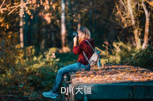 DJI(大疆