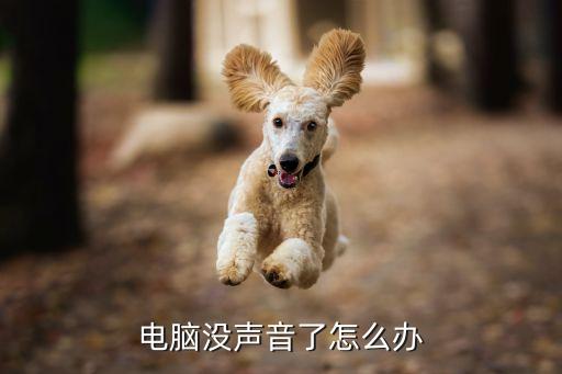 沒聲音，沒聲音了是怎么回事